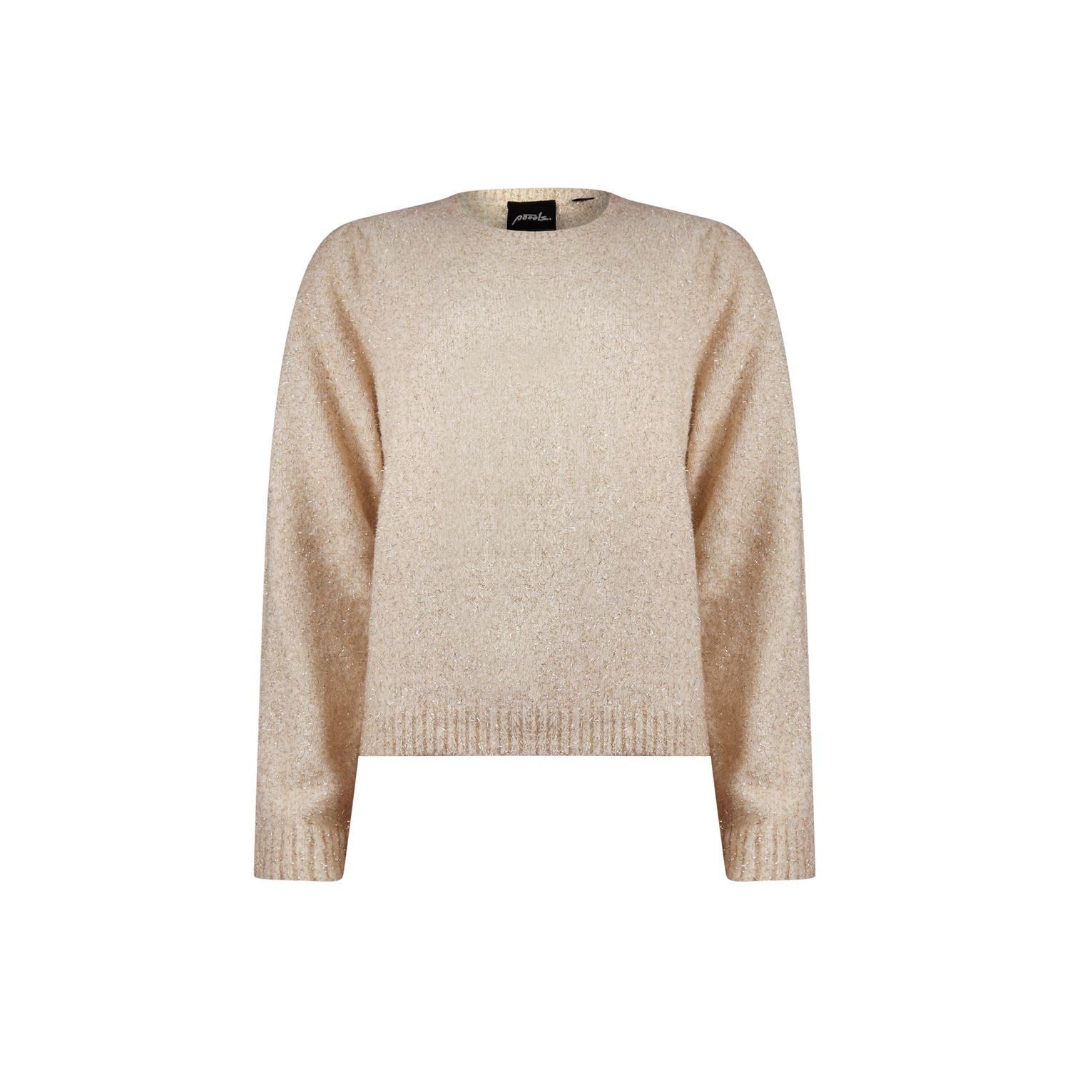 Sweater shiny