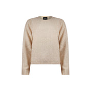Sweater shiny