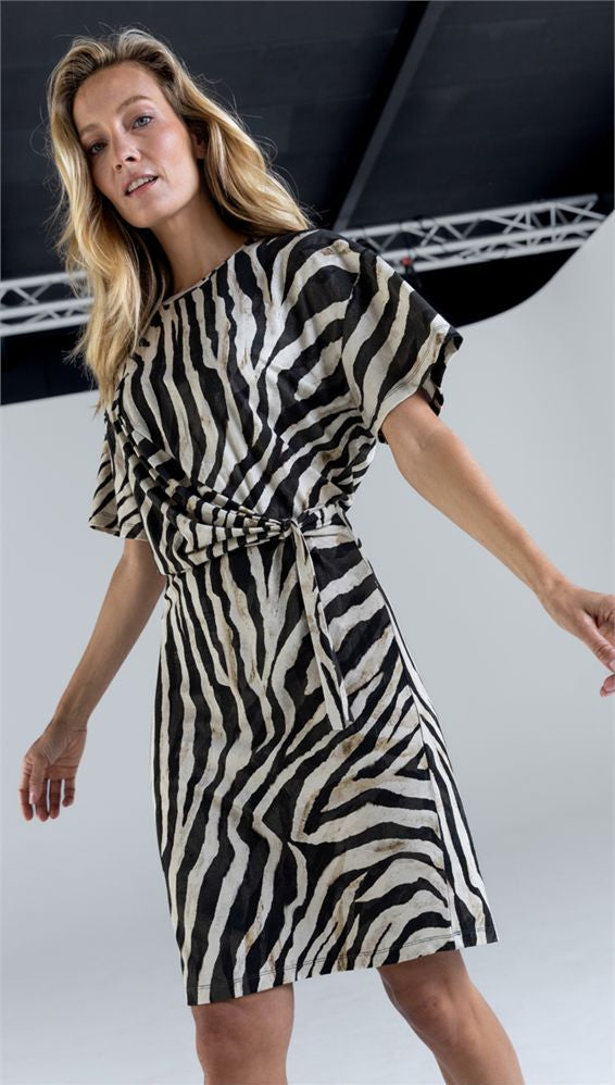 Dress print